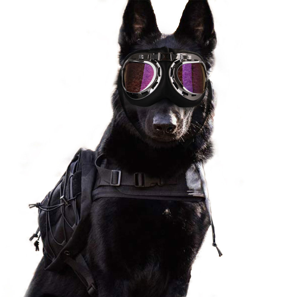 Castillotigo™ Gran marco perro Harley gafas mascota joyería