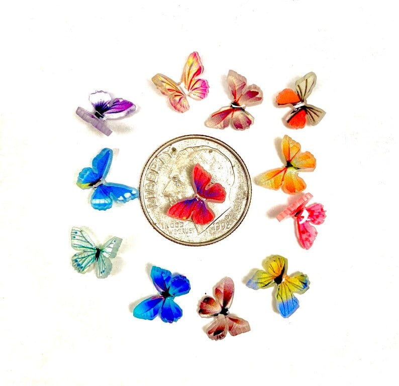 🦋Micro Miniature Butterflies