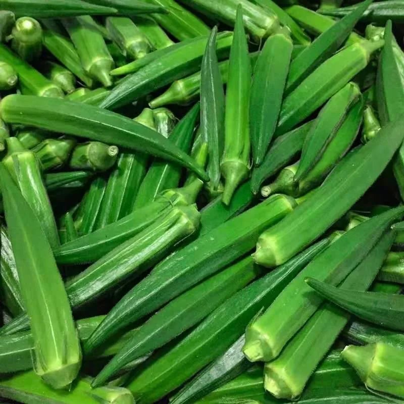 [Mass production - Full - Green ]Okra Seeds