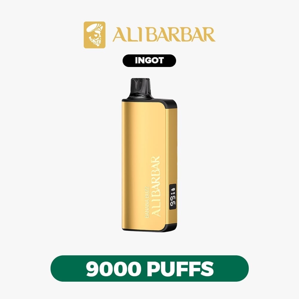 Blueberry Mint Flavor Vape | ALIBARBAR INGOT 9000 PUFFS