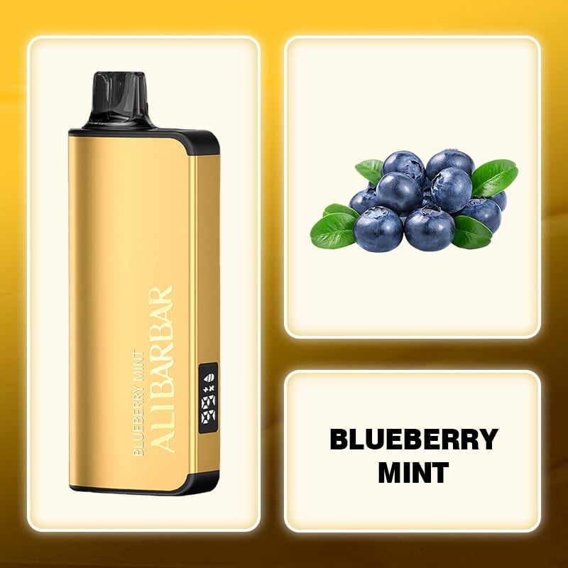 Alibarbar Ingot 9000 PUFFS Seamless Vaping Australian Warehouse