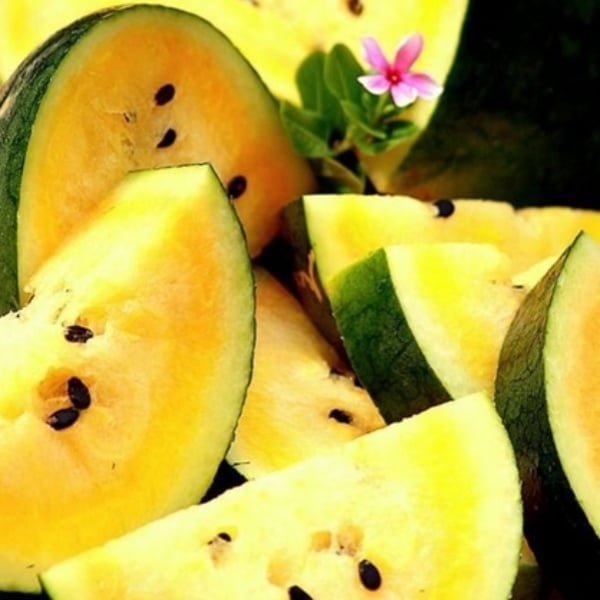 🍈Watermelon Seeds🍉