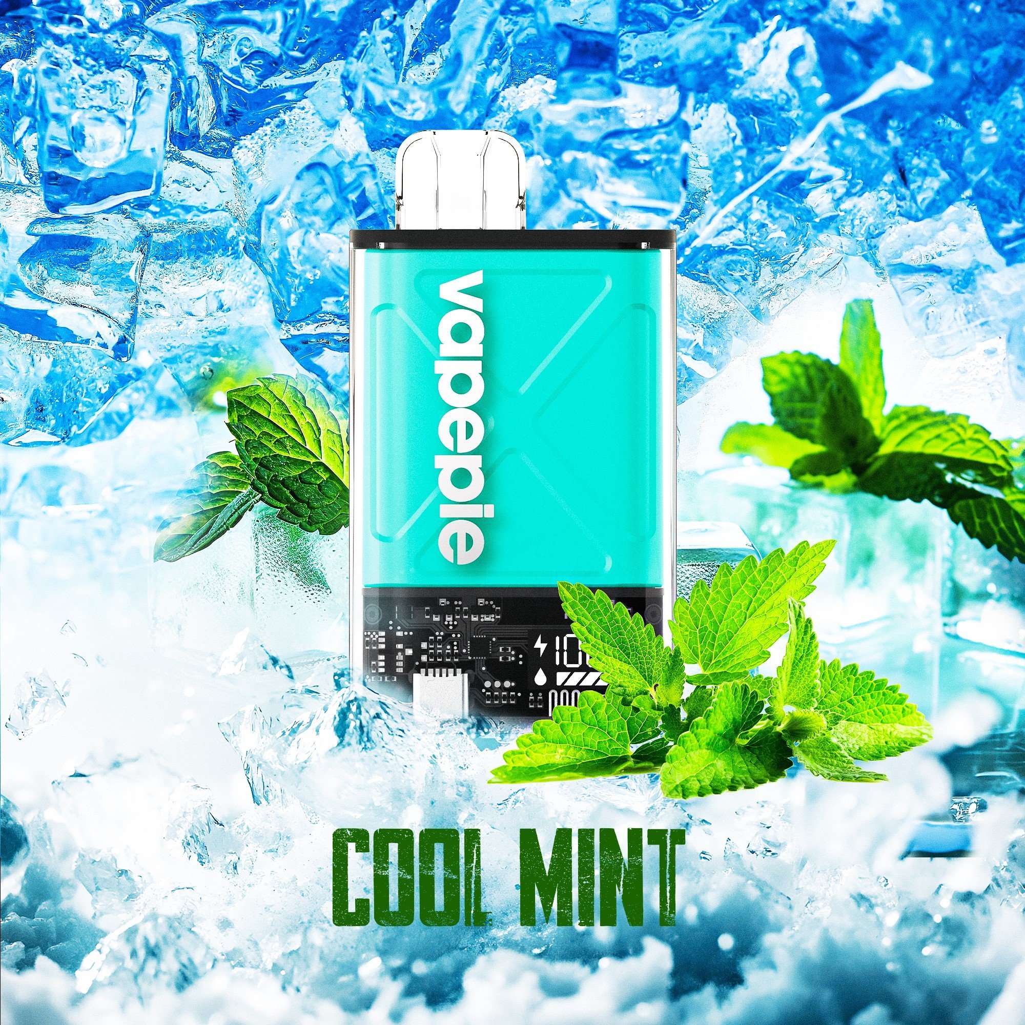 🎅Vapepie FV 12000 PUFFS---Cool Mint