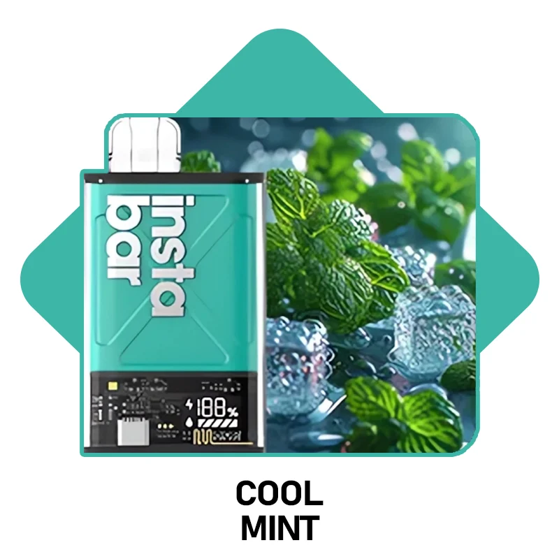 INSTABAR Ultra 12000 PUFFS - 10 Flavors