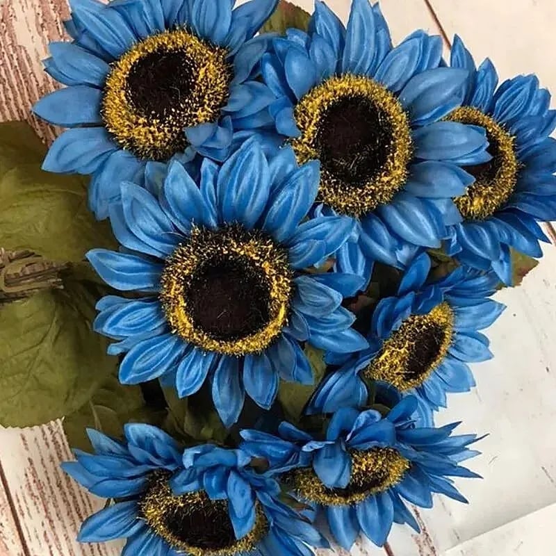Bright Blue Sunflower Seeds