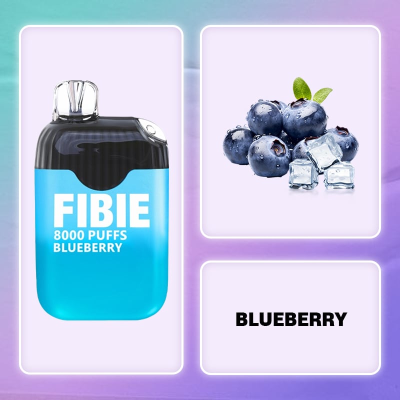 FIBIE 8000 Dual Flavors Disposable Vapor Wands(8000 PUFFS) - Blueberry