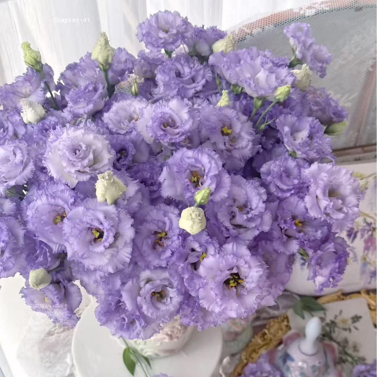 🔥Last Day 49% OFF - 🌺Eustoma Thornless Rose💐Lisanthus Seeds