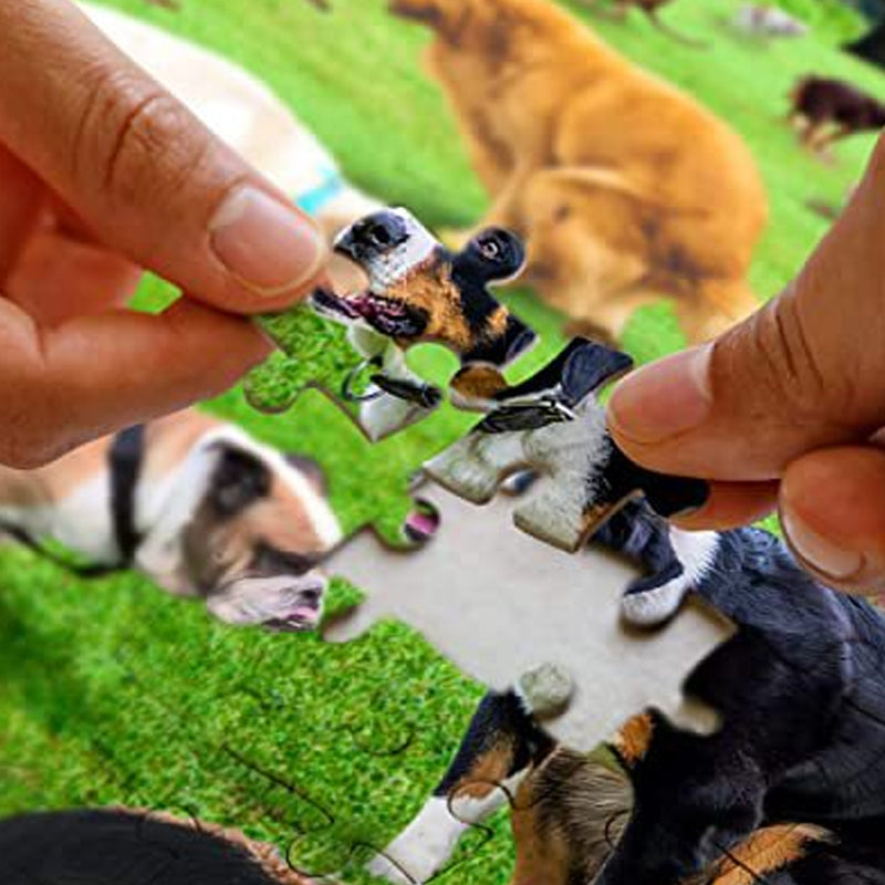 1000 Piece Puzzle, 101 Pooping Puppies, Dogs Pooping Puzzle Moresmall