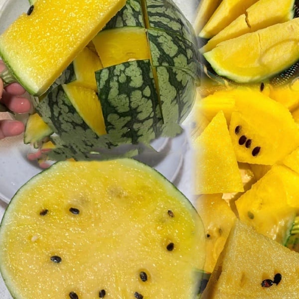 🍈Watermelon Seeds🍉