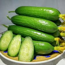 Cucumber Seeds