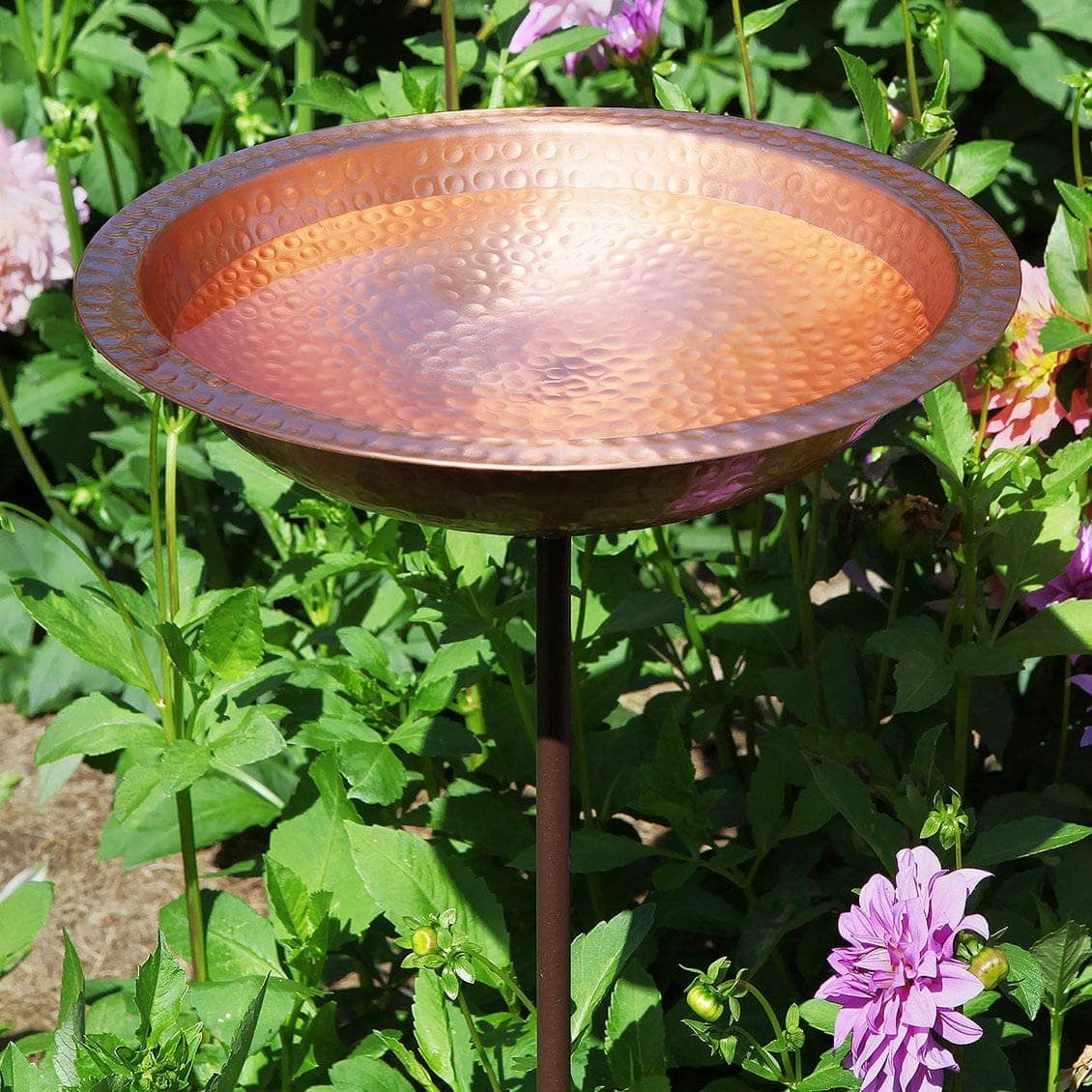 Hammered Solid Copper Bird Bath CTSCLOSEOUT