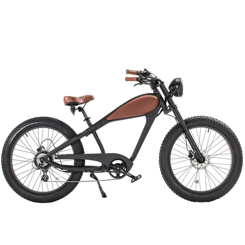 Vintage Fat Tire Cruiser Electric Bike 750W 48V - ElectricBike