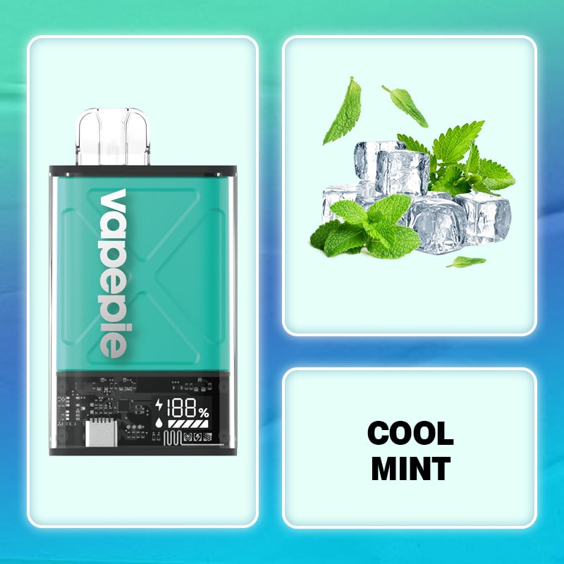 Cool Mint & VAPEPIE Ultra 12000 PUFFS （🔥Most people choose）