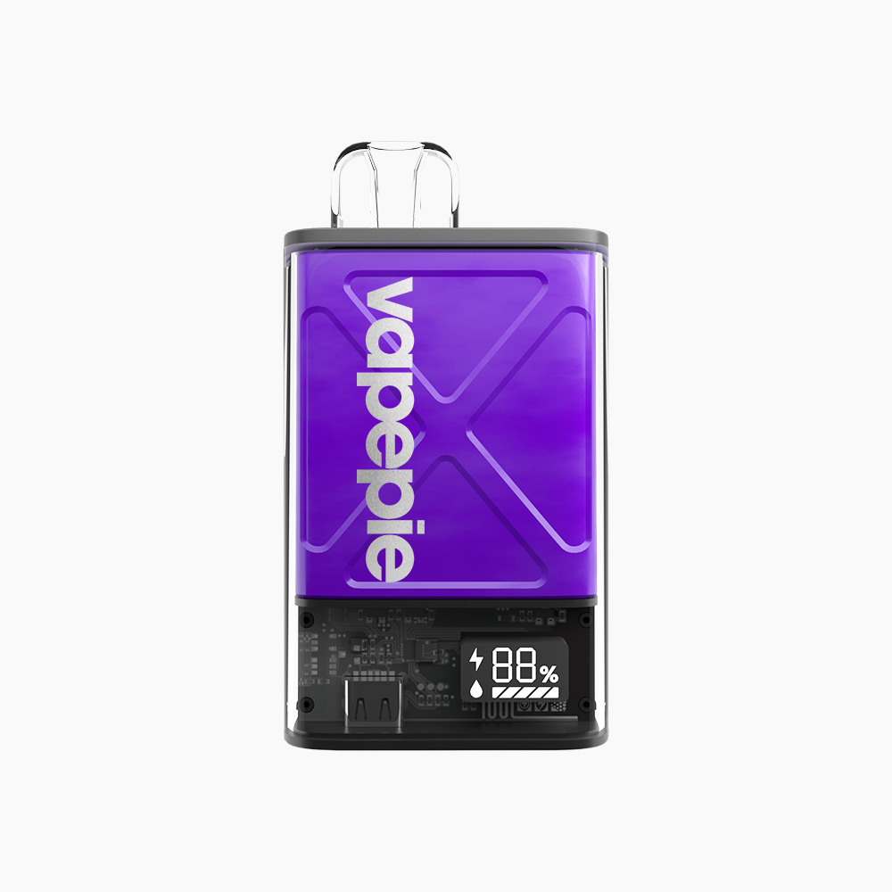 VAPEPIE FV 12000 PUFFS