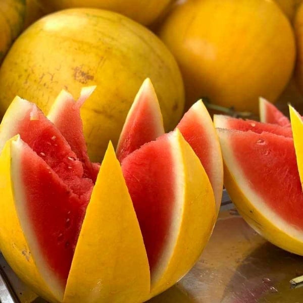 🍈Watermelon Seeds🍉