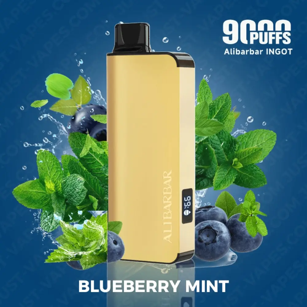 Blueberry Mint – Alibarbar INGOT 9000 Puffs