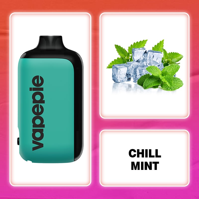 CHILL MINT & Vapepie AG 15000 PUFFS  (🔥Recommended by boss)