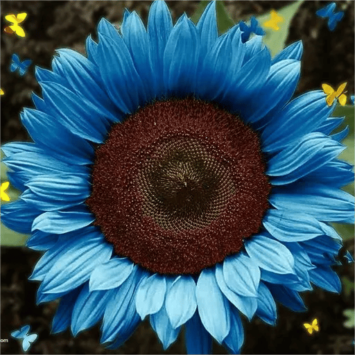 Bright Blue Sunflower Seeds