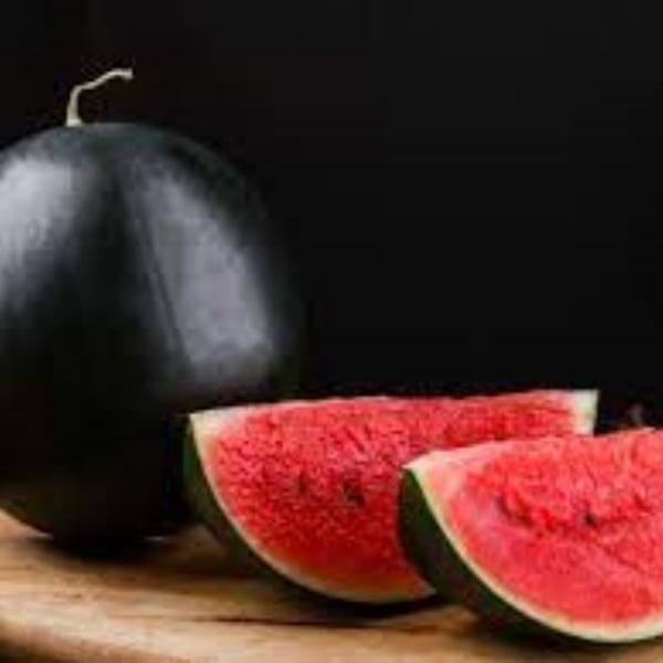 🍈Watermelon Seeds🍉