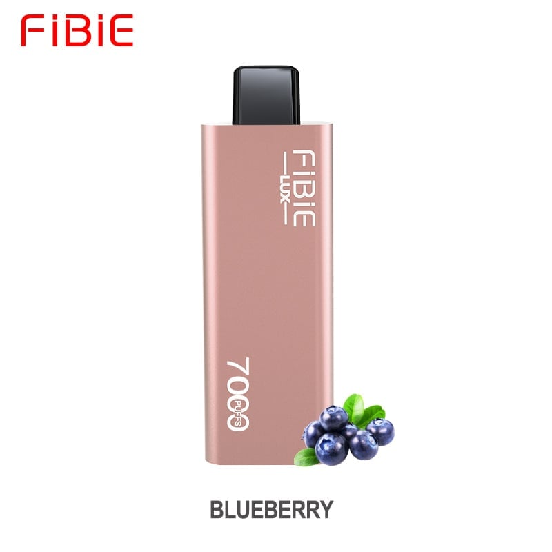 BLUEBERRY-  FIBIE 7000 Puffs (Brushed metal housing)