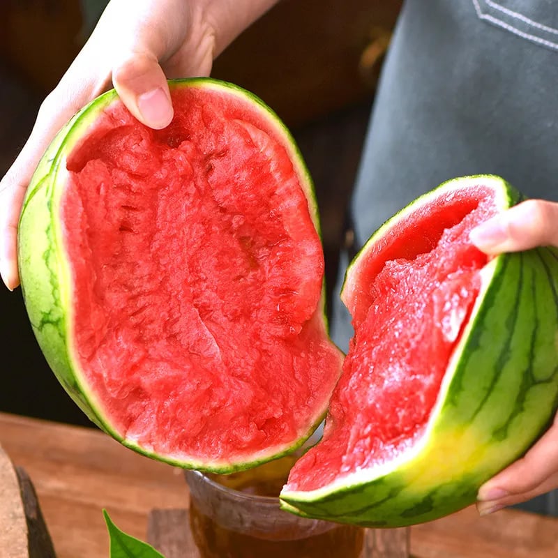 🍈Watermelon Seeds🍉