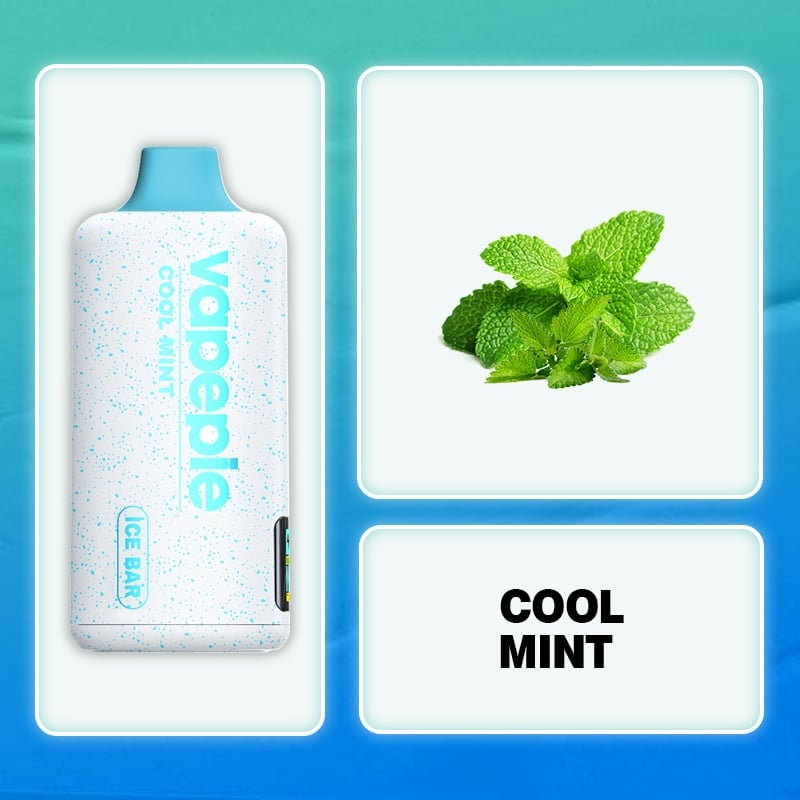 (BUY 5 GET 5 FREE)💥VAPEPIE PowerGo 10000 PUFFS